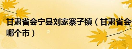 甘肃省会宁县刘家寨子镇（甘肃省会宁县属于哪个市）