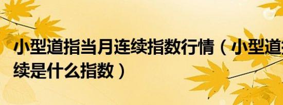 小型道指当月连续指数行情（小型道指当月连续是什么指数）