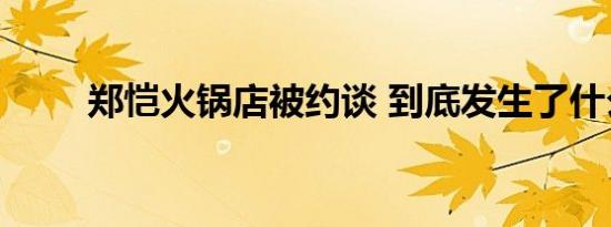 郑恺火锅店被约谈 到底发生了什么