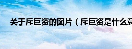 关于斥巨资的图片（斥巨资是什么意思）