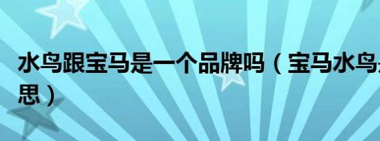 水鸟跟宝马是一个品牌吗（宝马水鸟是什么意思）
