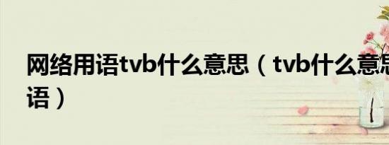 网络用语tvb什么意思（tvb什么意思网络用语）