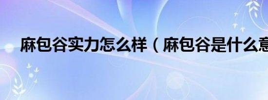 麻包谷实力怎么样（麻包谷是什么意思）
