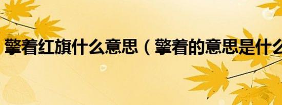 擎着红旗什么意思（擎着的意思是什么意思）