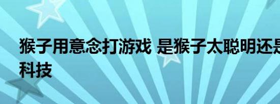 猴子用意念打游戏 是猴子太聪明还是借助了科技