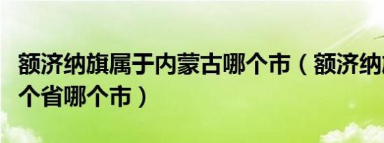 额济纳旗属于内蒙古哪个市（额济纳旗属于哪个省哪个市）