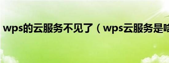 wps的云服务不见了（wps云服务是啥意思）