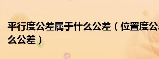 平行度公差属于什么公差（位置度公差属于什么公差）