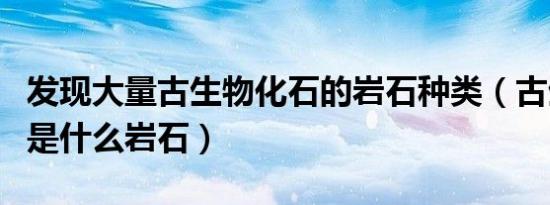 发现大量古生物化石的岩石种类（古生物化石是什么岩石）
