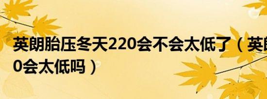 英朗胎压冬天220会不会太低了（英朗胎压220会太低吗）