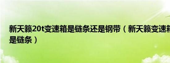 新天籁20t变速箱是链条还是钢带（新天籁变速箱是钢带还是链条）