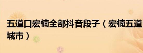 五道口宏楠全部抖音段子（宏楠五道口是哪个城市）