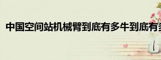 中国空间站机械臂到底有多牛到底有多厉害