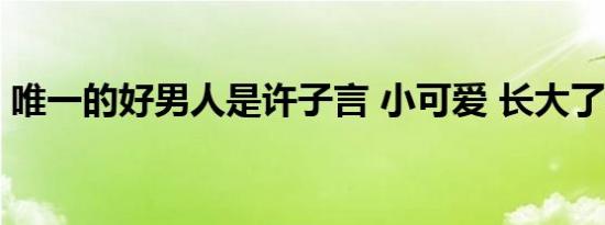 唯一的好男人是许子言 小可爱 长大了不得了