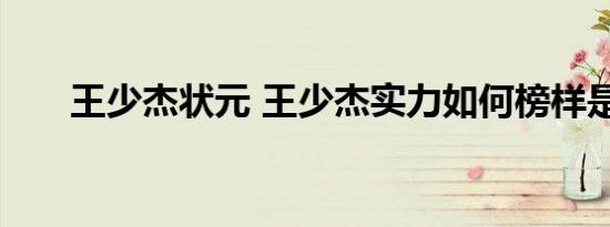 王少杰状元 王少杰实力如何榜样是谁