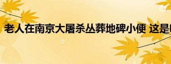 老人在南京大屠杀丛葬地碑小便 这是啥情况