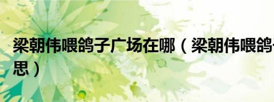 梁朝伟喂鸽子广场在哪（梁朝伟喂鸽子什么意思）