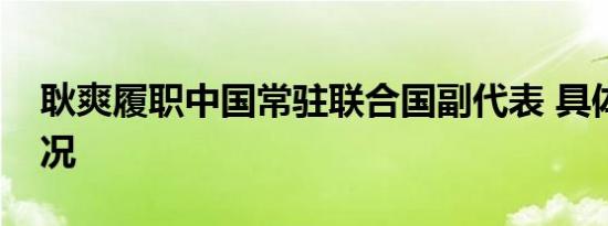 耿爽履职中国常驻联合国副代表 具体是啥情况