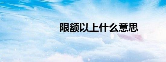 限额以上什么意思