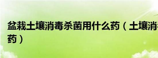 盆栽土壤消毒杀菌用什么药（土壤消毒用什么药）