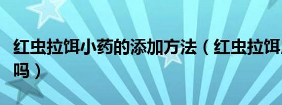 红虫拉饵小药的添加方法（红虫拉饵用放小药吗）
