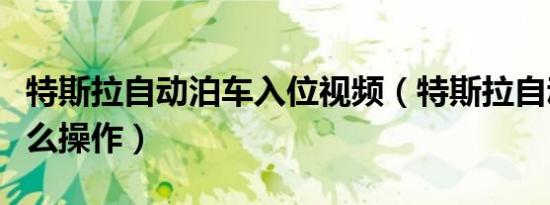 特斯拉自动泊车入位视频（特斯拉自动泊车怎么操作）