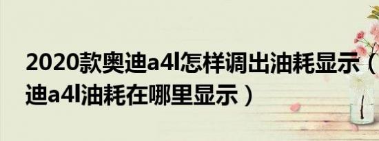 2020款奥迪a4l怎样调出油耗显示（2020奥迪a4l油耗在哪里显示）
