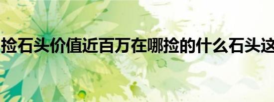 捡石头价值近百万在哪捡的什么石头这么值钱