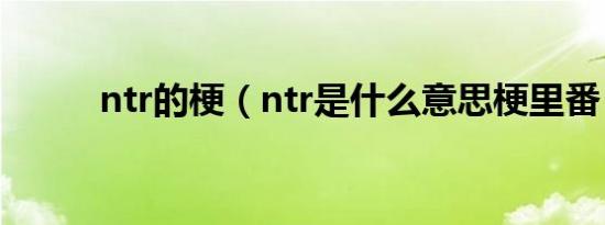 ntr的梗（ntr是什么意思梗里番）