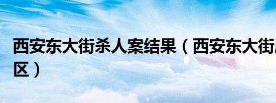 西安东大街杀人案结果（西安东大街属于哪个区）