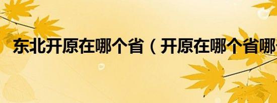 东北开原在哪个省（开原在哪个省哪个市）