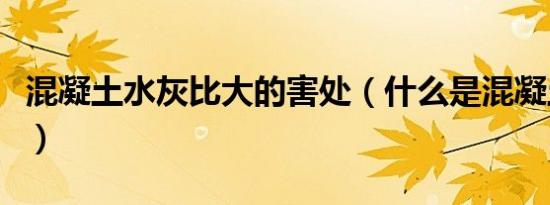 混凝土水灰比大的害处（什么是混凝土水灰比）