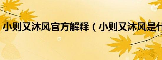 小则又沐风官方解释（小则又沐风是什么梗）