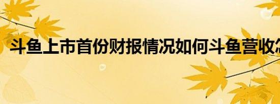 斗鱼上市首份财报情况如何斗鱼营收怎么样