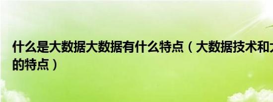 什么是大数据大数据有什么特点（大数据技术和大数据资源的特点）