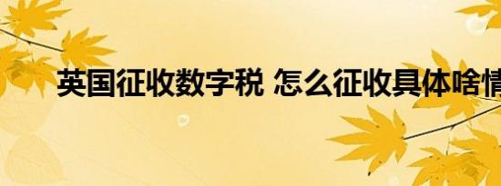 英国征收数字税 怎么征收具体啥情况