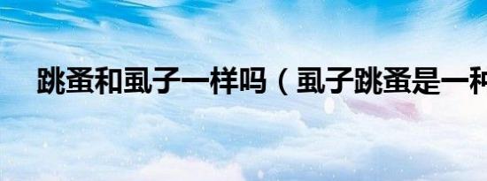 跳蚤和虱子一样吗（虱子跳蚤是一种吗）