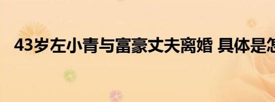 43岁左小青与富豪丈夫离婚 具体是怎样的