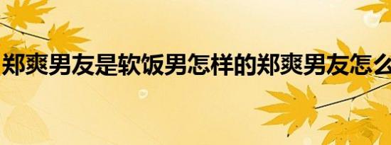郑爽男友是软饭男怎样的郑爽男友怎么回应的
