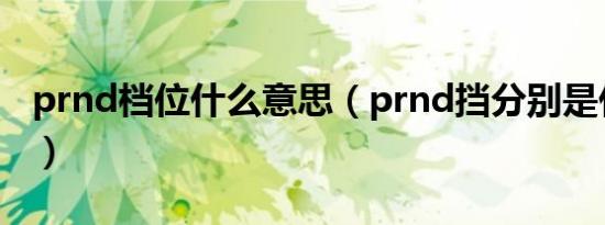 prnd档位什么意思（prnd挡分别是什么意思）