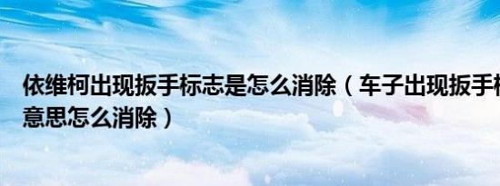 依维柯出现扳手标志是怎么消除（车子出现扳手标志是什么意思怎么消除）
