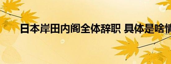 日本岸田内阁全体辞职 具体是啥情况