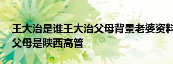 王大治是谁王大治父母背景老婆资料,王大治父母是陕西高管
