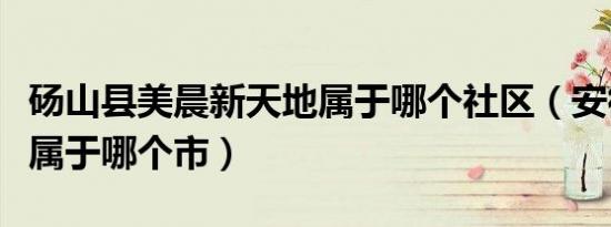 砀山县美晨新天地属于哪个社区（安徽砀山县属于哪个市）