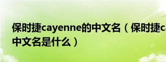 保时捷cayenne的中文名（保时捷cayenne中文名是什么）