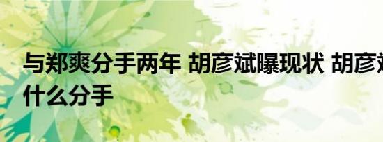与郑爽分手两年 胡彦斌曝现状 胡彦斌郑爽为什么分手
