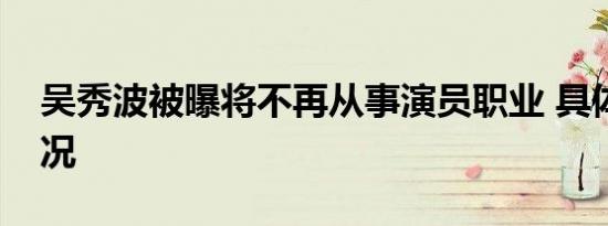吴秀波被曝将不再从事演员职业 具体是啥情况