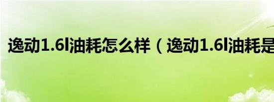 逸动1.6l油耗怎么样（逸动1.6l油耗是多少）