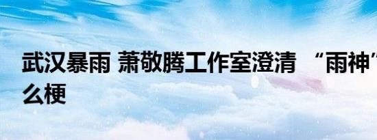 武汉暴雨 萧敬腾工作室澄清 “雨神”人设什么梗