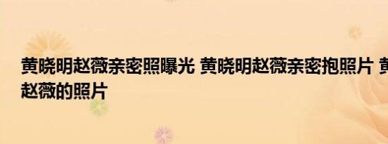 黄晓明赵薇亲密照曝光 黄晓明赵薇亲密抱照片 黄晓明迷上赵薇的照片